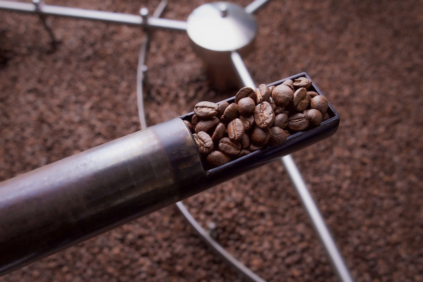 Roasted coffee beans moving through a cooling tray